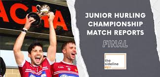 Image result for Sean Treacy`s Hurling Club