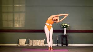 Image result for Barbara Currie School Of Yoga