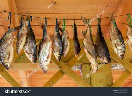 Image result for Rutilus caspicus