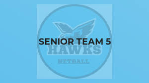 Image result for Knighton Netball Club