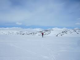 Image result for Lakeland Cross Country Ski Club