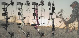 Image result for Carman Stables Archery
