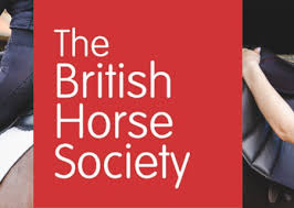 Image result for British Horse Society