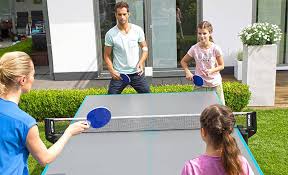 Image result for Table Tennis