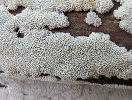 Attēlu rezultāti vaicājumam “Ceratiomyxa fruticulosa sessile”