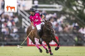 Image result for Taunton Vale Polo Club