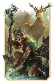 Image result for druid