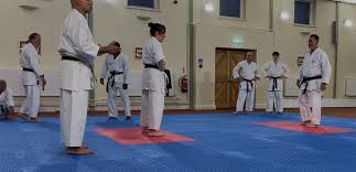Image result for Burnham Karate Club