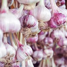 Afbeeldingsresultaat voor earliana tomato