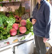 Image result for Radieschen