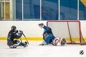 Image result for Peterborough Phantoms