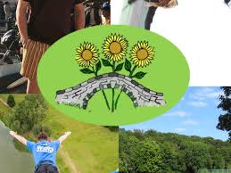 Image result for Pontblyddyn Cricket Club