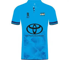 Image result for North Devon Cricket Club