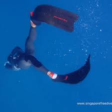 Image result for Bath Freediving Club