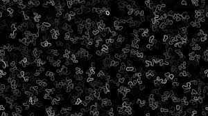 Attēlu rezultāti vaicājumam “Physarum daamsii”