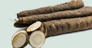 Image result for Schwarzwurzeln