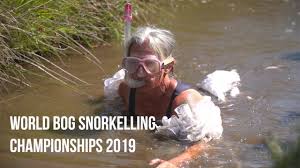 Image result for Bog Snorkelling Championships