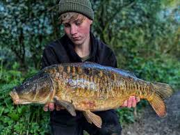 Image result for Hull & District Anglers' Association