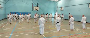 Image result for Reading Wado Kai Karate Club