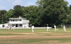 Image result for Lewdown Cricket Club