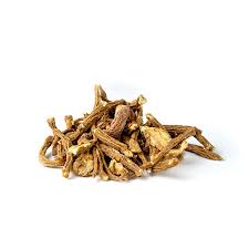 Attēlu rezultāti vaicājumam “Angelica archangelica fruit”