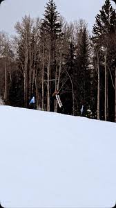 Image result for skiptondivers