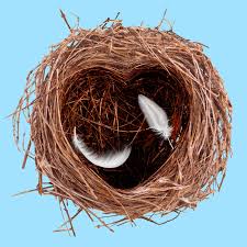 Attēlu rezultāti vaicājumam “nest”