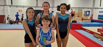 Image result for Pegasus (Sevenoaks) Badminton Club