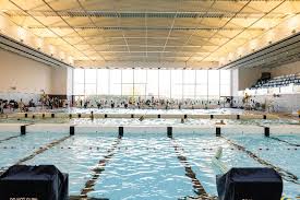 Image result for Derventio Excel Swimming Club