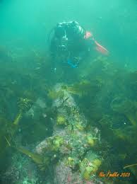 Image result for Bradford Sub-Aqua Club