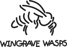 Image result for Wasps Football Club