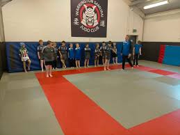 Image result for Warrington Samurai Judo Club