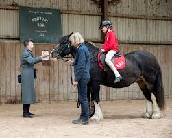 Image result for Riding For The Disabled