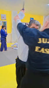 Image result for Goshin Ryu Atemi JuJitsu
