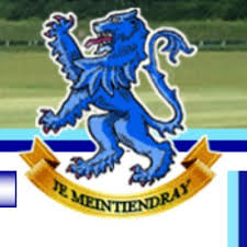 Image result for Brixham Cricket Club