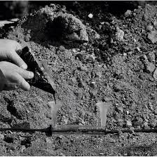 Image result for %82%C4%82%A1%82%F1%82%AD%82%E9