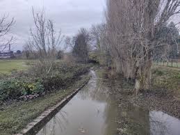 Image result for Barbourne Worcester