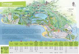Image result for parque natural de camargue