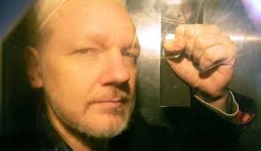 Image result for julian assange