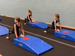 Image result for Weybridge Gymnastics