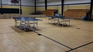 Image result for Pavilion Table Tennis Club