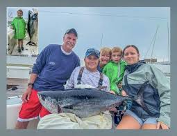 Image result for Rhinoptera bonasus