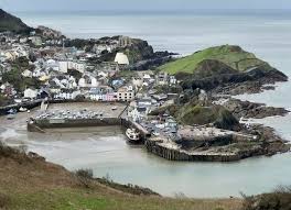 Image result for Ilfracombe & N Devon