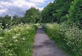 Image result for North Dorset