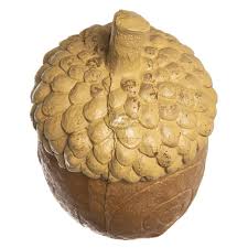 Image result for Acorn Archers