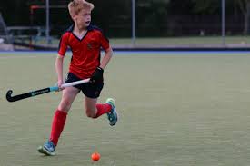 Image result for Stevenage Hockey Club