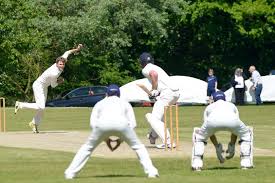 Image result for Halstead Cricket Club
