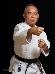 Image result for Zen Shin Seicho Do Adult Karate