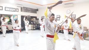 Image result for Silat Perisai Diri Classes Club