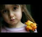 سابقى » عامة » wael haider